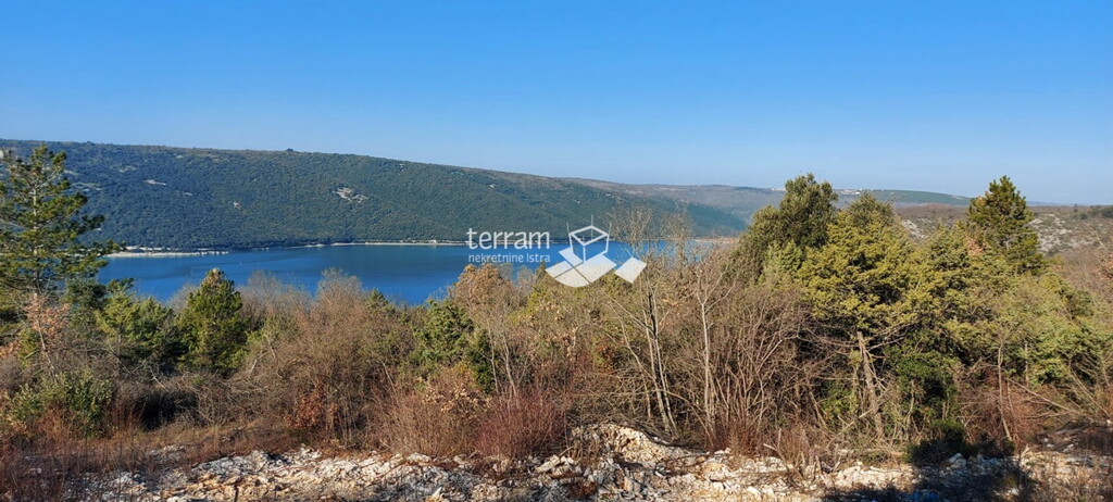 Image 6222098 - 3