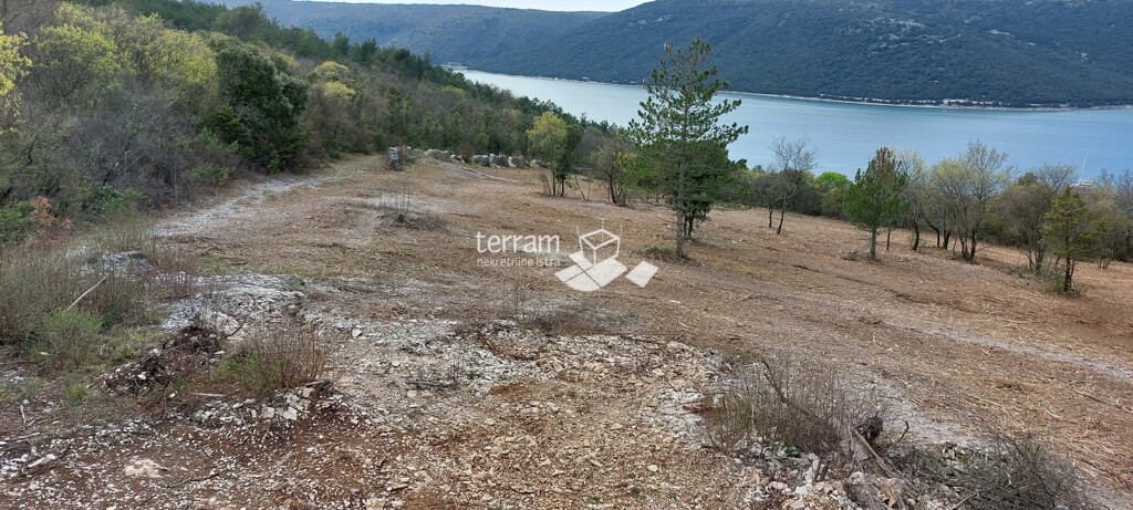 Image 6222099 - 1