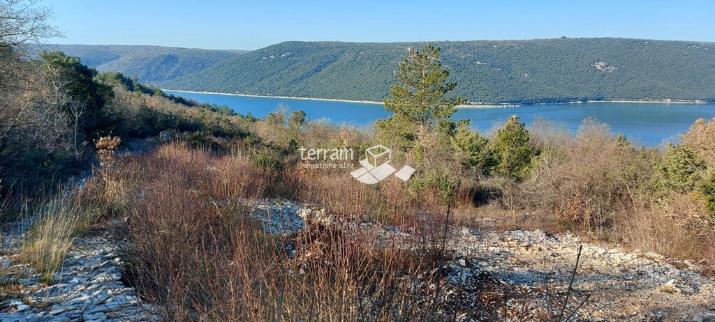 Image 6222099 - 3