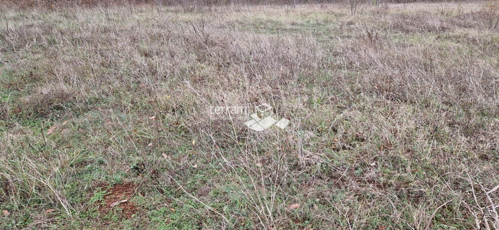 Image 6222100 - 6