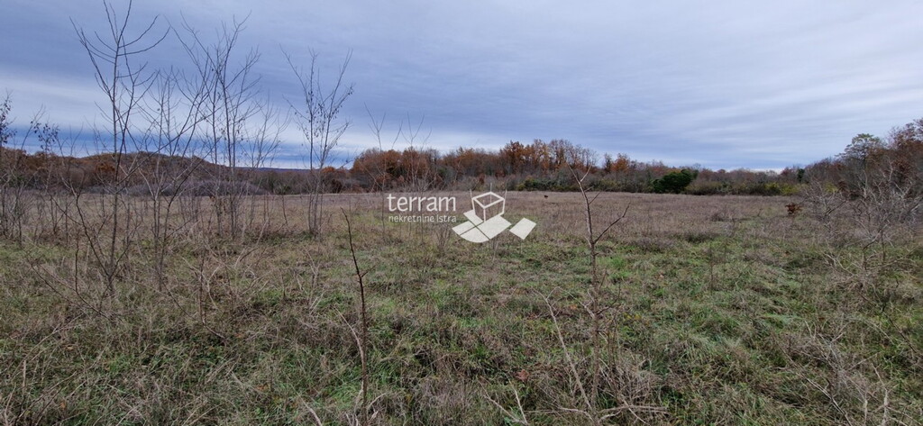 Image 6222100 - 1