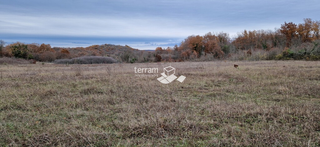 Image 6222100 - 4