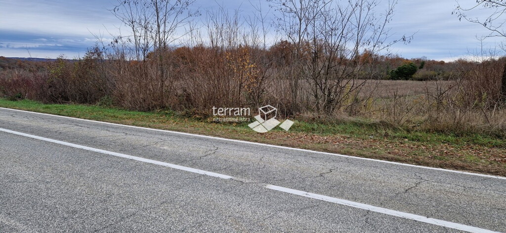 Image 6222100 - 5