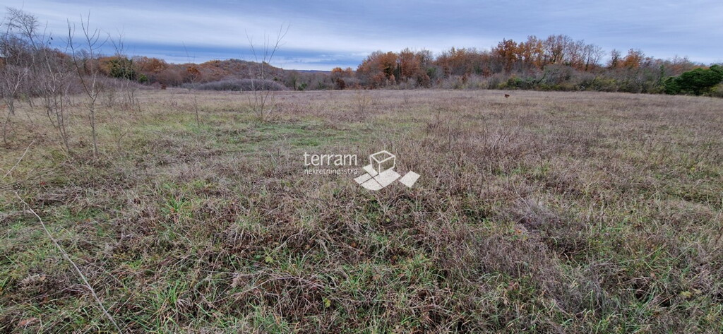 Image 6222100 - 2