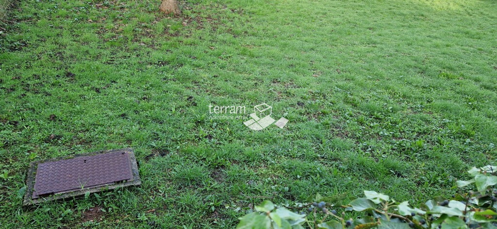 Image 6222105 - 5