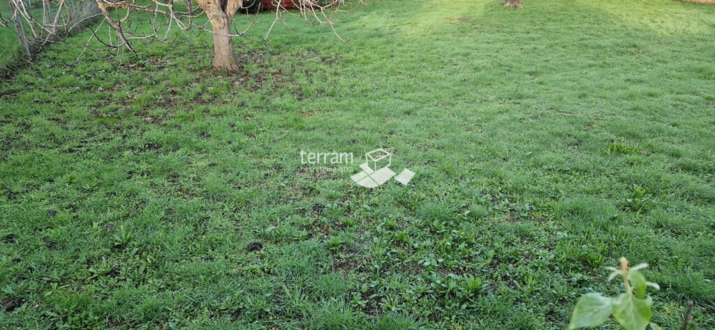 Image 6222105 - 2