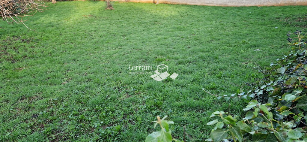 Image 6222105 - 3