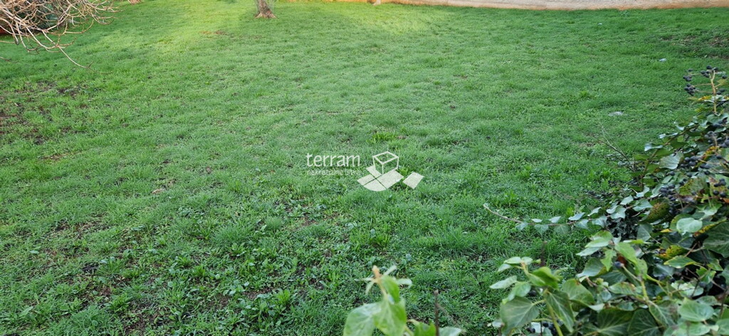 Image 6222105 - 4