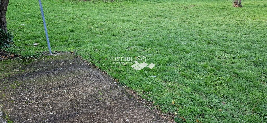 Image 6222105 - 1