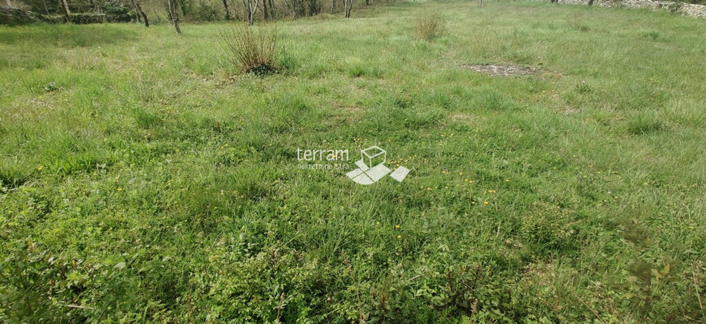 Image 6222111 - 3
