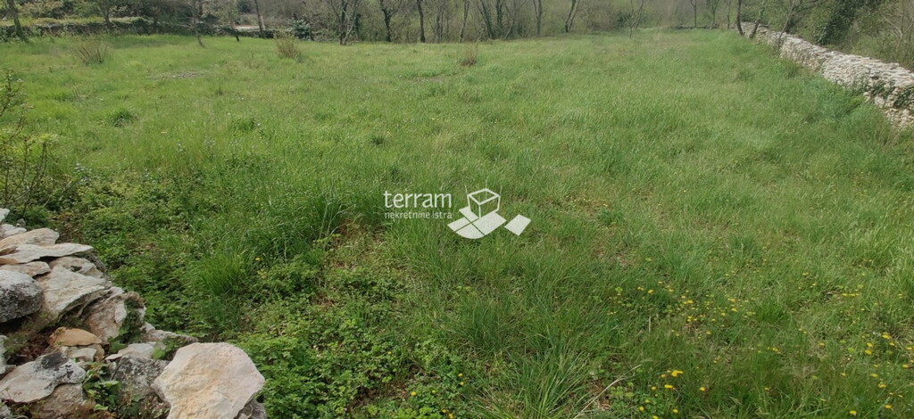 Image 6222111 - 1