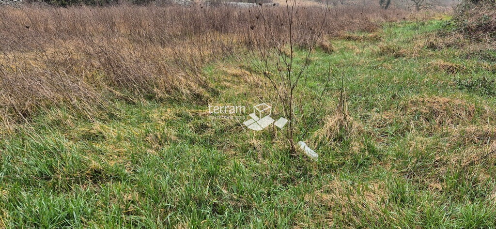 Image 6222117 - 3