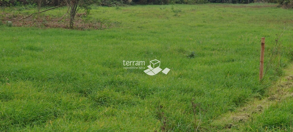 Image 6222121 - 1