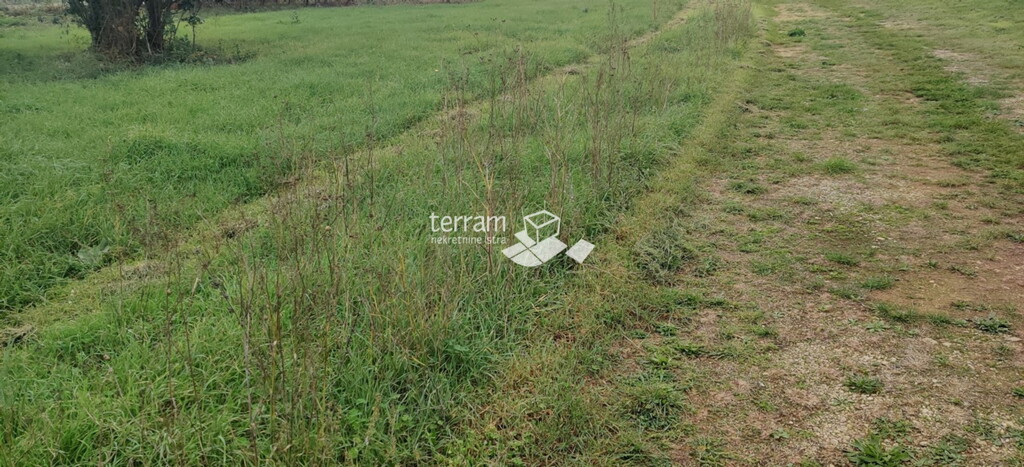 Image 6222121 - 3