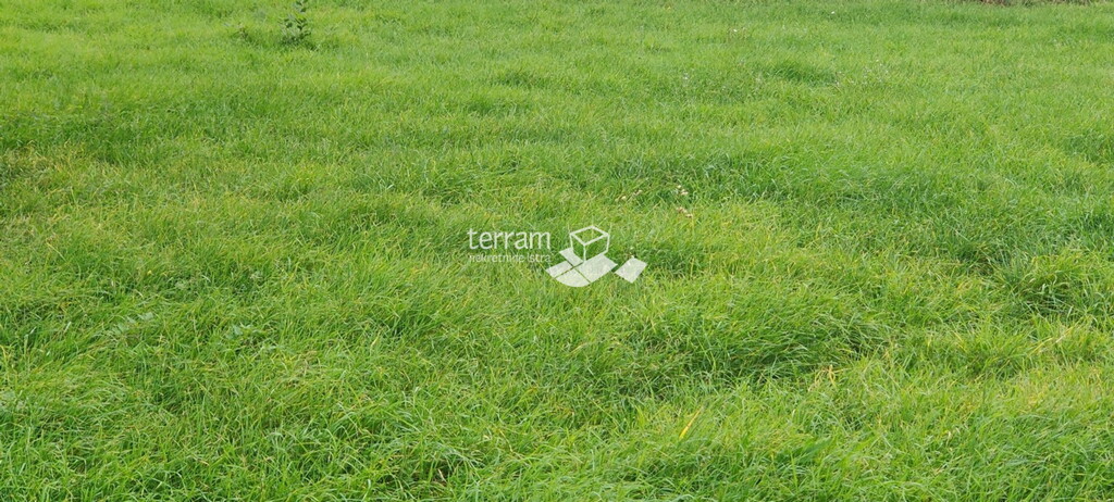 Image 6222121 - 2