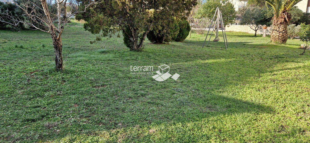 Image 6222128 - 3