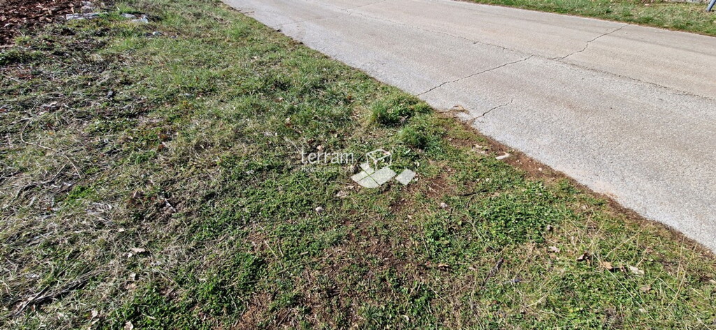 Image 6222130 - 5