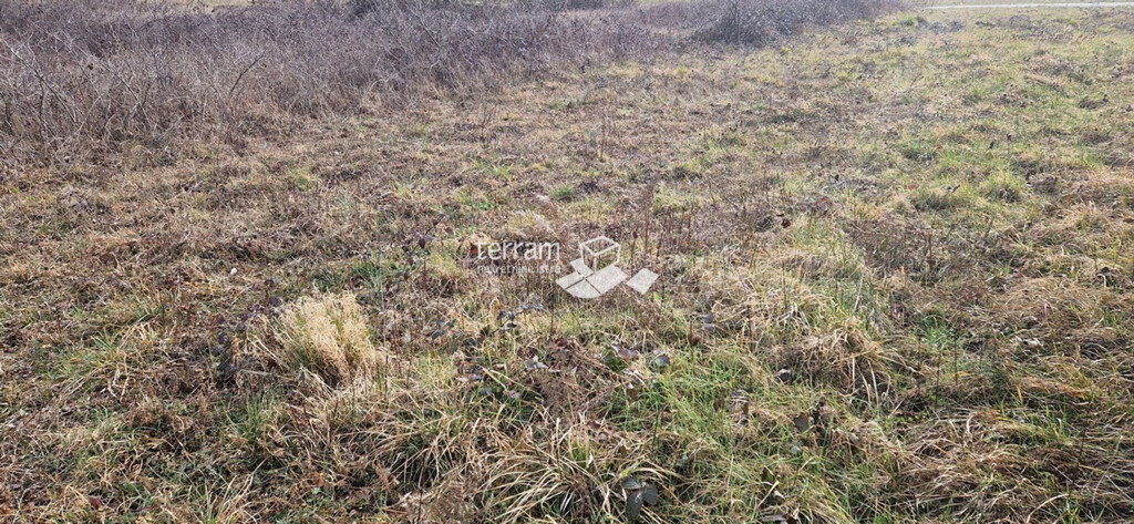 Image 6222141 - 2