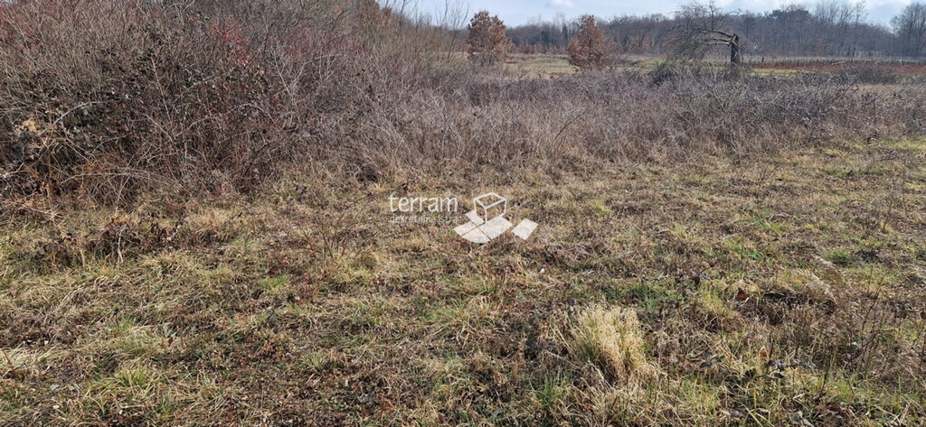 Image 6222141 - 1