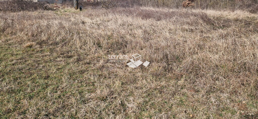 Image 6222141 - 4
