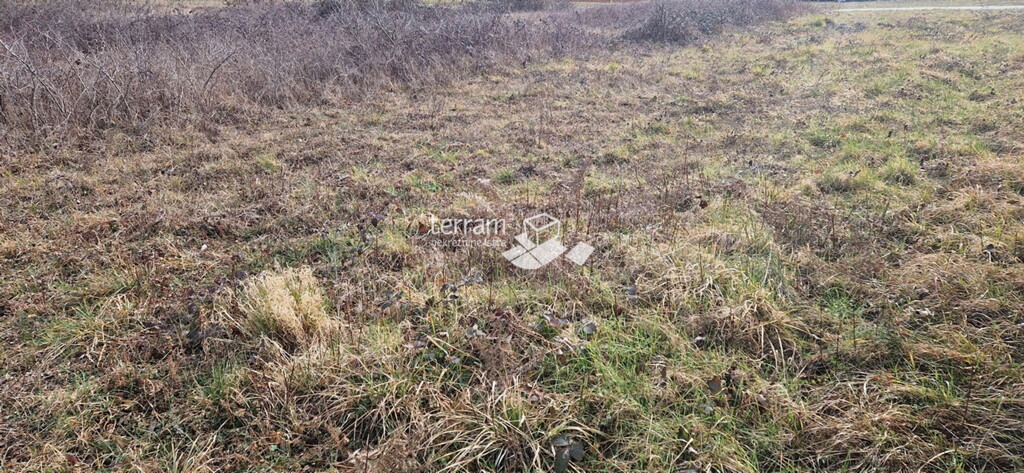 Image 6222141 - 6
