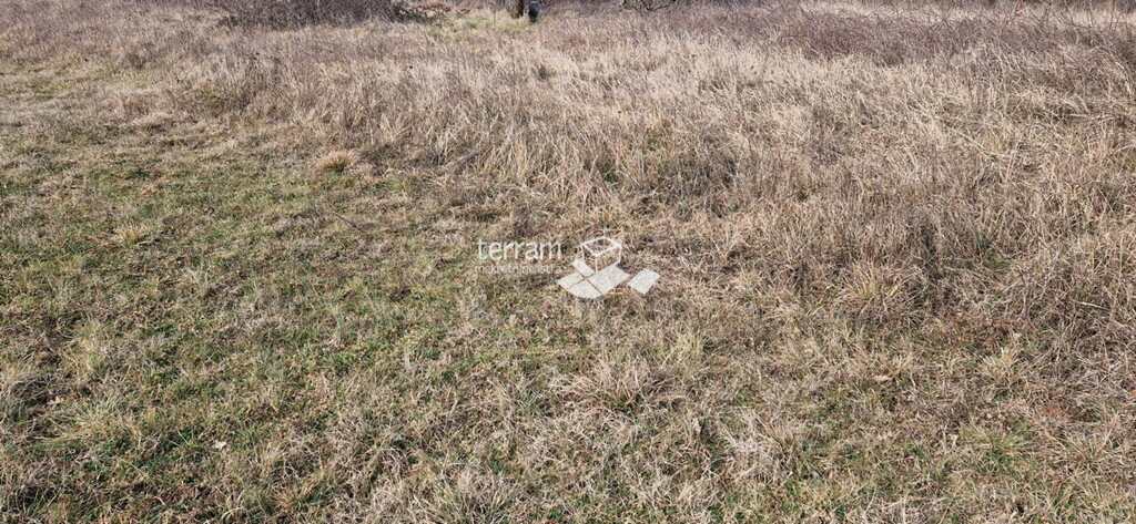 Image 6222141 - 3