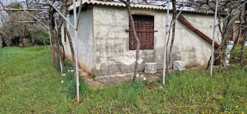 Thumbnail 6222144 - 1