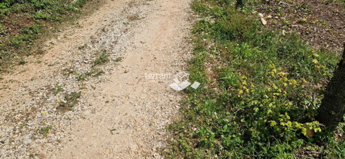 Thumbnail 6222151 - 4