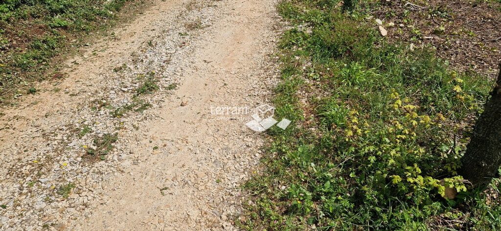 Image 6222151 - 4