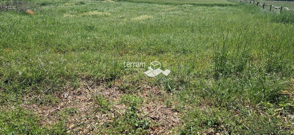 Image 6222151 - 1
