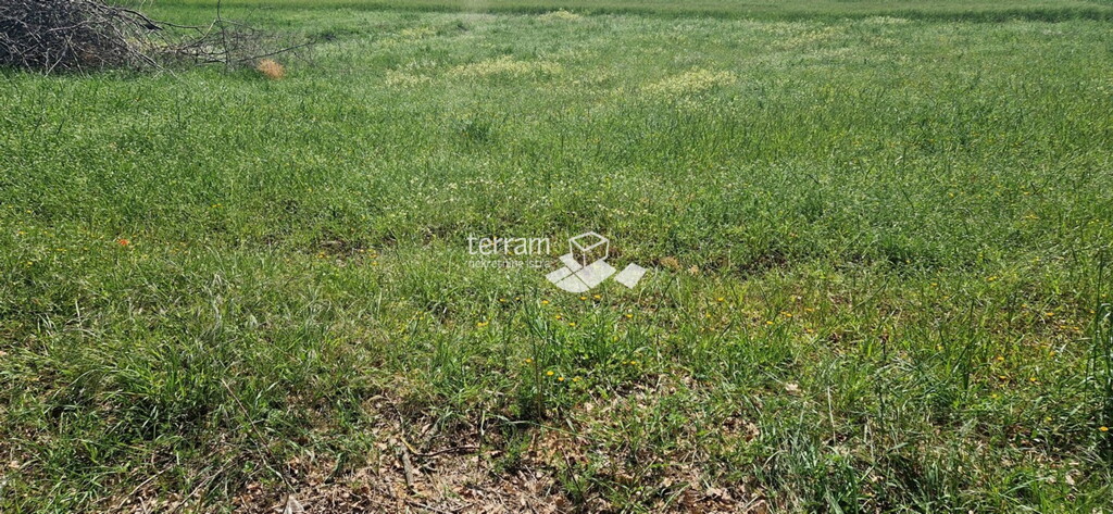 Image 6222151 - 3