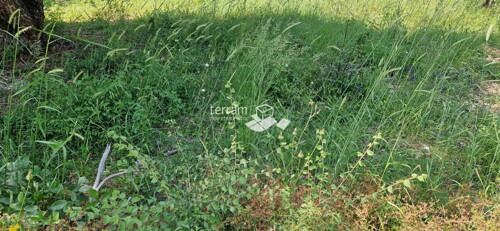 Thumbnail 6222157 - 2