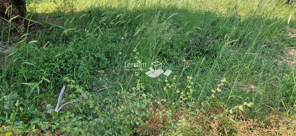 Image 6222157 - 2