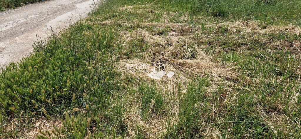Image 6222157 - 1