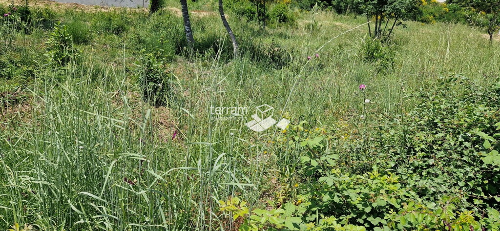 Image 6222157 - 3
