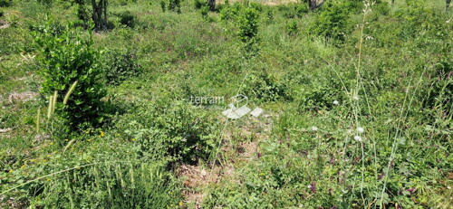 Thumbnail 6222157 - 4