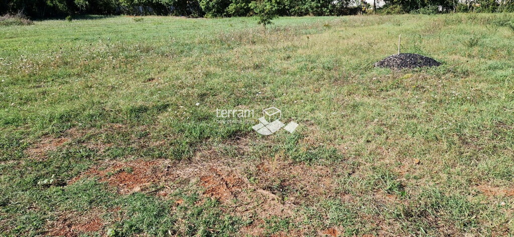 Image 6222159 - 2