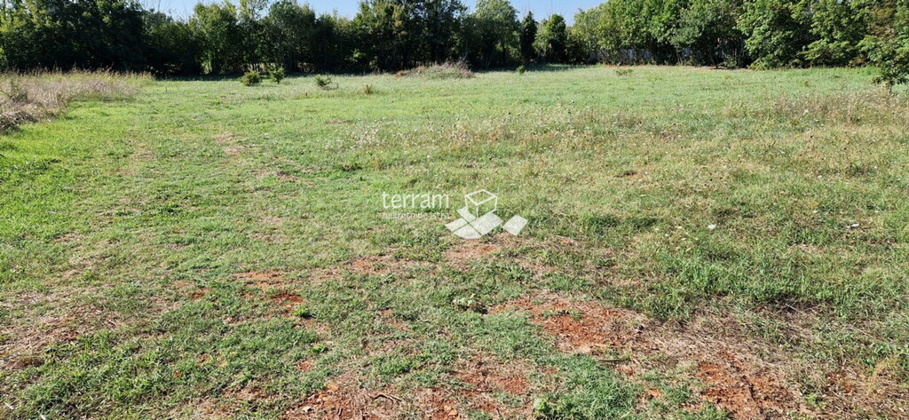 Image 6222159 - 1