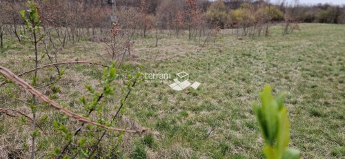 Thumbnail 6222168 - 1