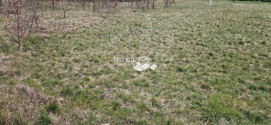Image 6222168 - 4