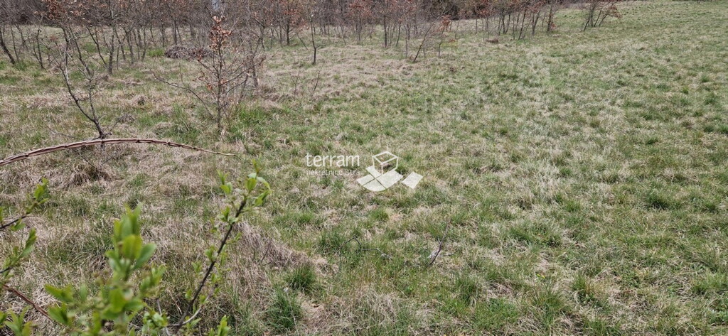 Image 6222168 - 3