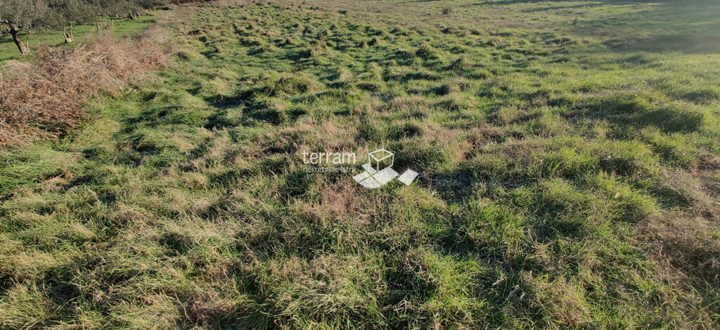 Image 6222183 - 3