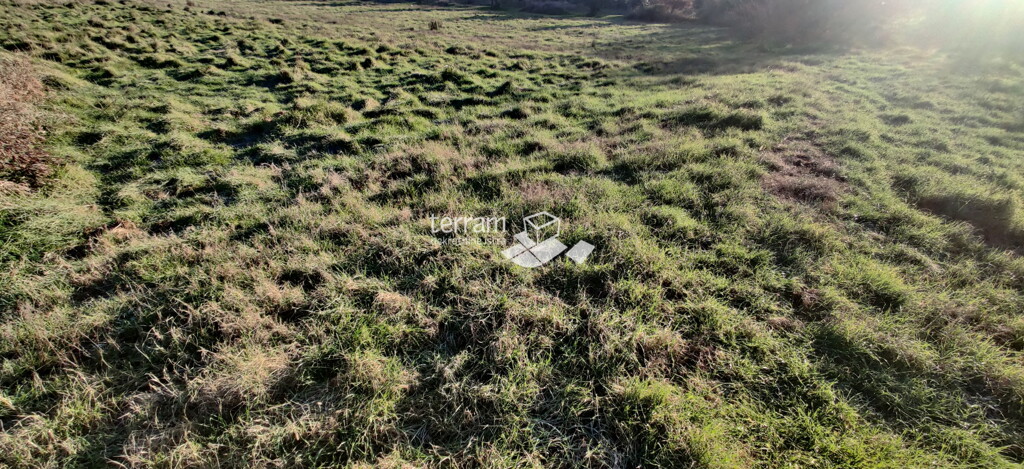 Image 6222183 - 2