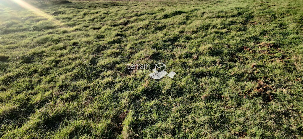 Image 6222183 - 1