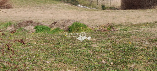 Thumbnail 6222186 - 3