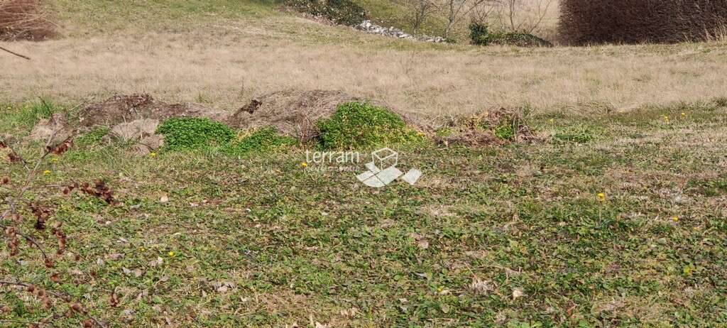 Image 6222186 - 3