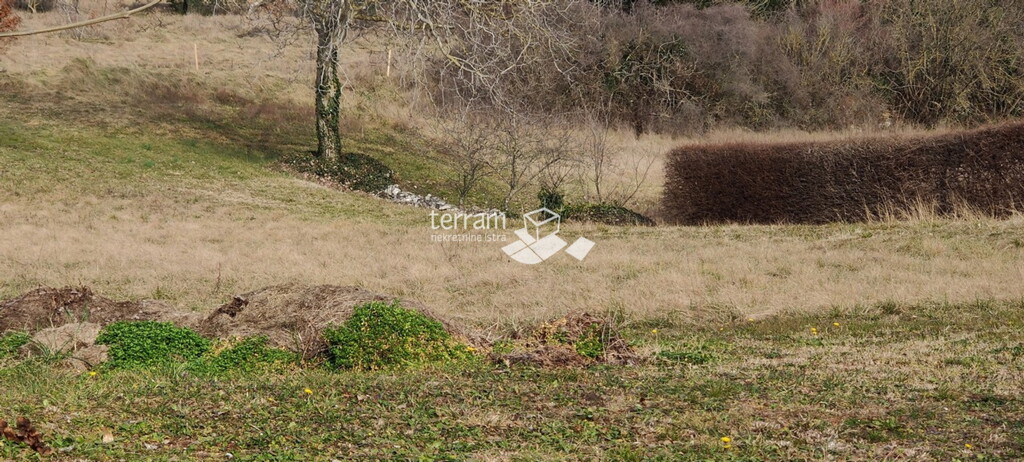 Image 6222186 - 4