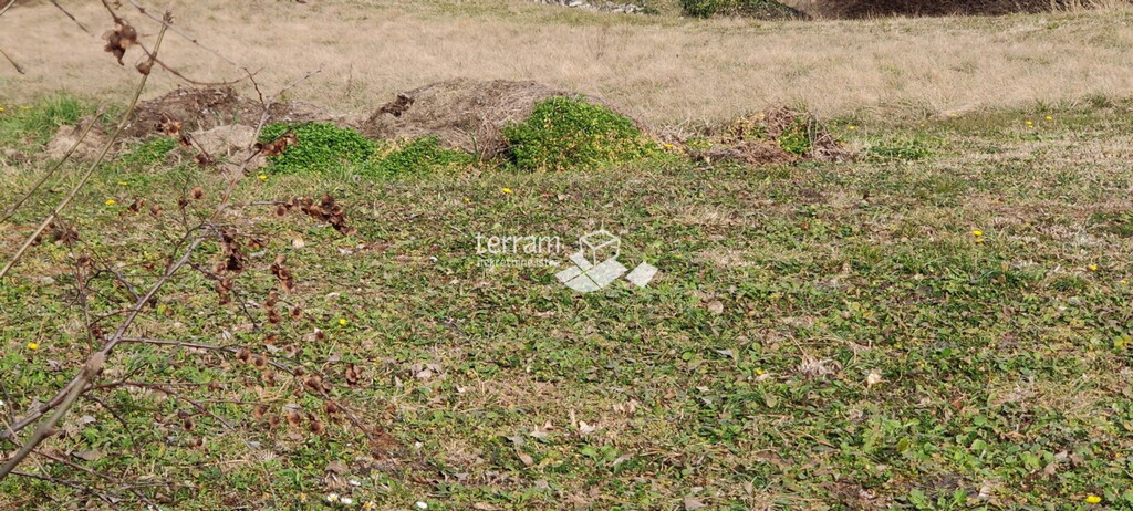Image 6222186 - 2