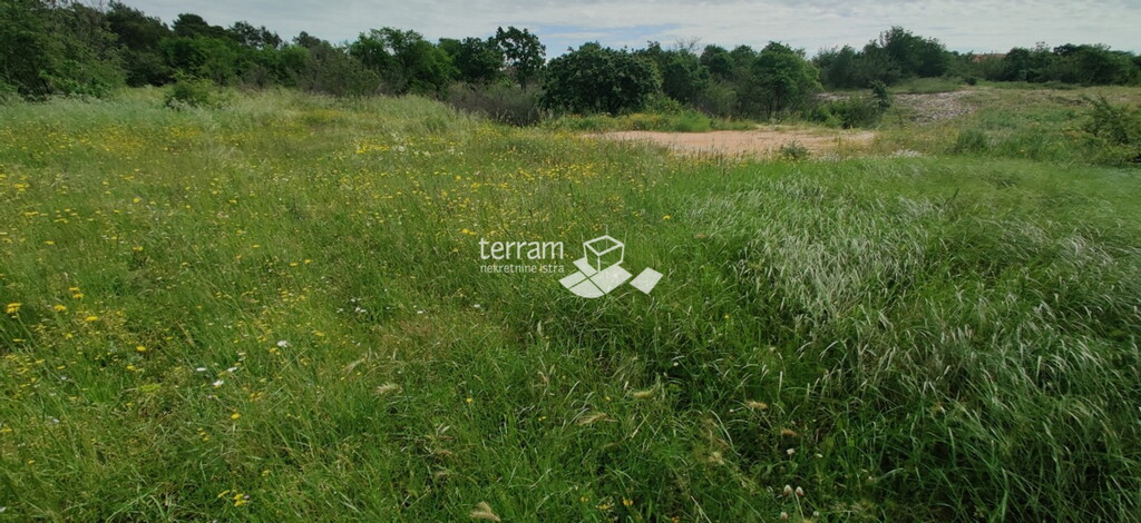 Image 6222191 - 2
