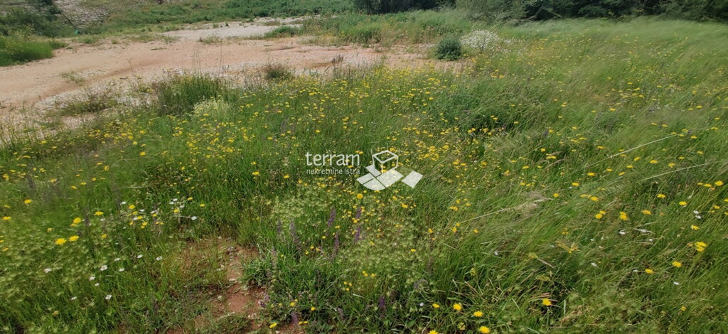 Image 6222191 - 3